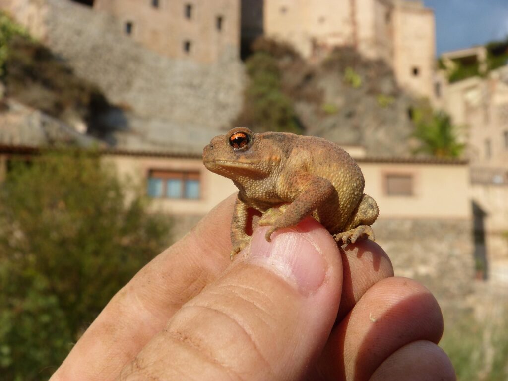 生理前の肌荒れを防ぐベースの乗せ方は？