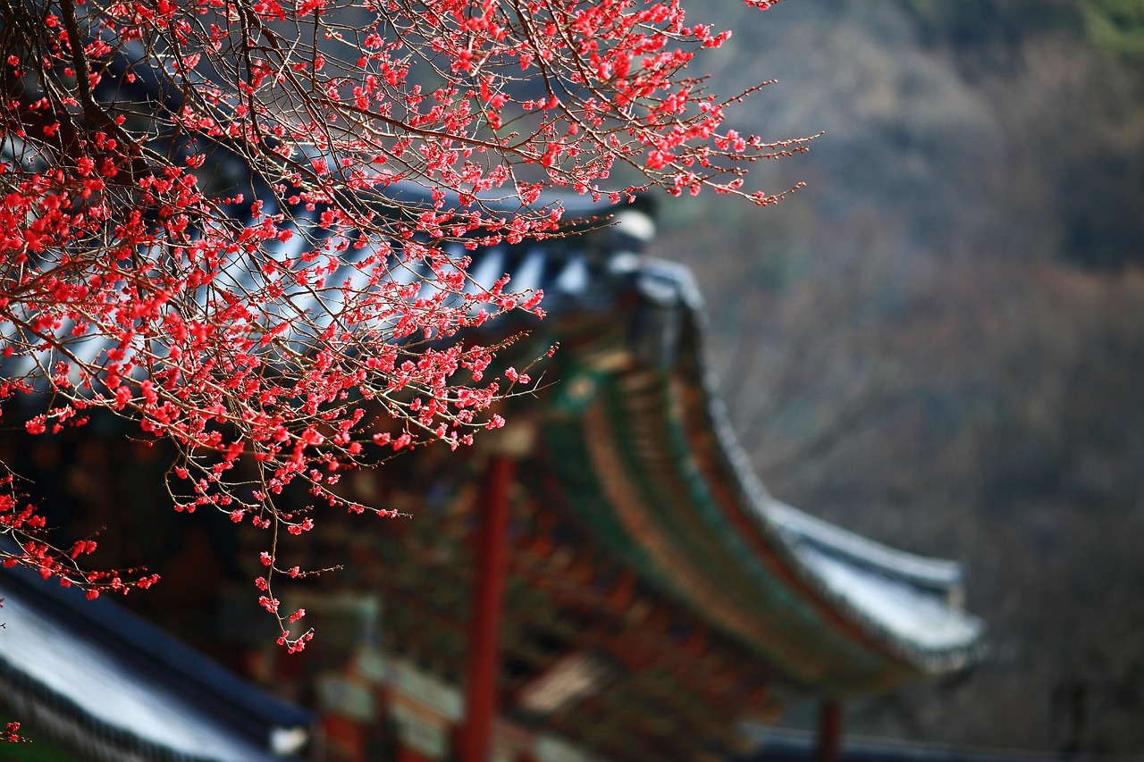 結婚式にお呼ばれした時の韓国肌を活かすベースメイクのコツは？