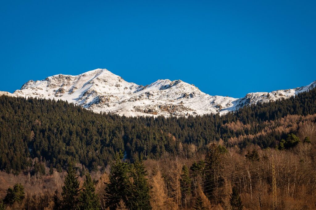 冬に加湿器を使うべき理由と乾燥対策は？