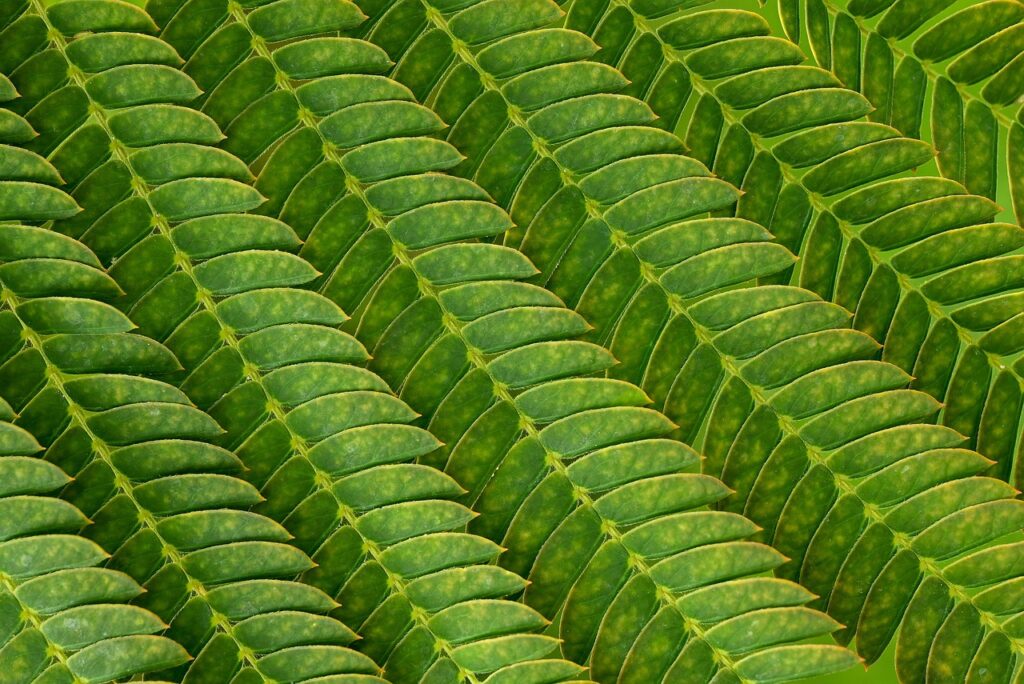 グリーン下地で赤みを消す使い方は？