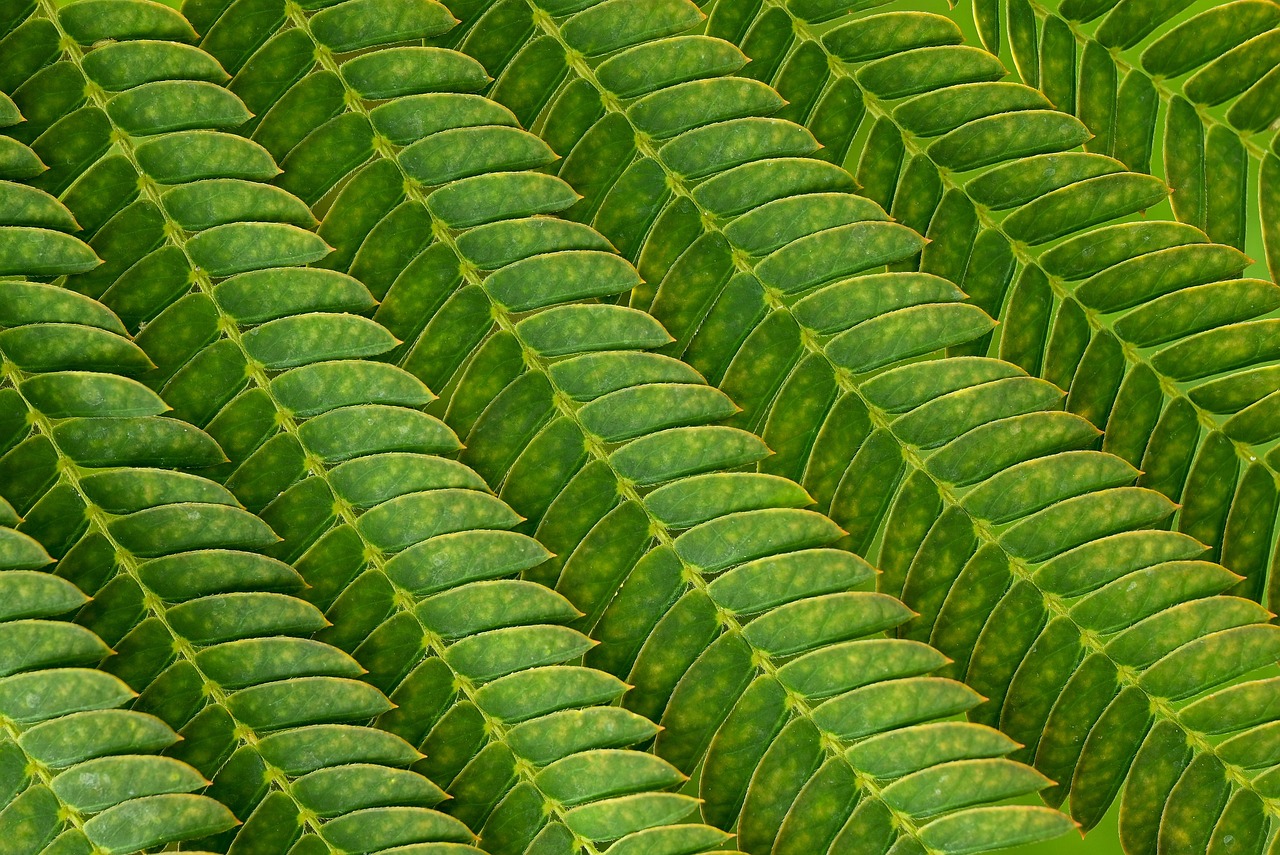 グリーン下地で赤みを消す使い方は？