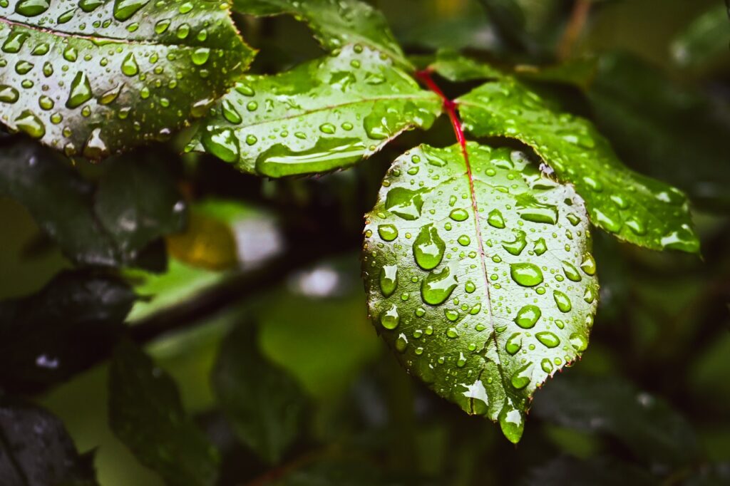 保湿だけでツヤが出る秘訣は？