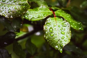 保湿だけでツヤが出る秘訣は？