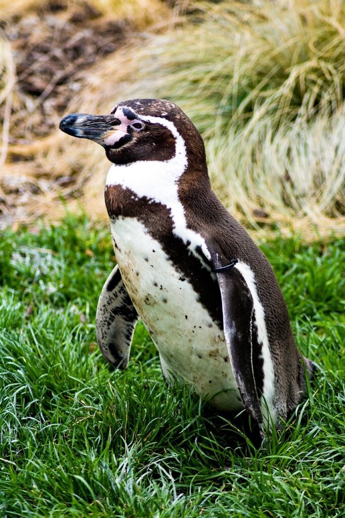 夏に崩れないツヤ肌ベースの作り方は？