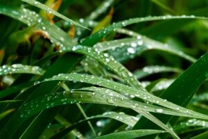 梅雨の湿気によるメイク崩れ対策に最適なフィクサーは？