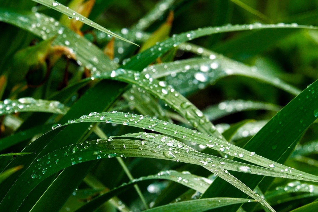 梅雨の湿気による崩れ対策に効果的なフィクサーは？