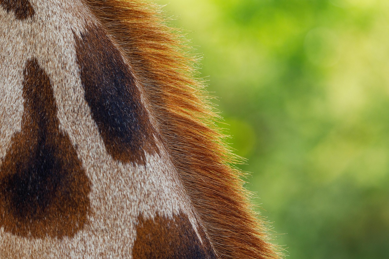 韓国アイドル肌になる方法として乾燥肌対策は？