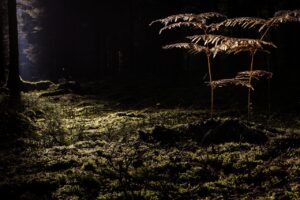 毛穴悩みの開き毛穴を原因別に対策する方法は？