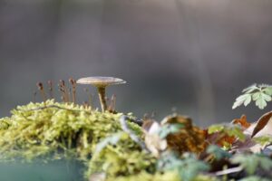 毛穴悩みを解消するナイア系併用のコツとは？