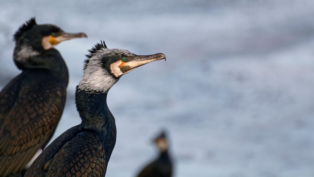 肌荒れ時にファンデを休むための代替プランは？