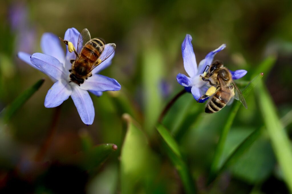 肌荒れ時に花粉時期の最低限ケアは何が必要？