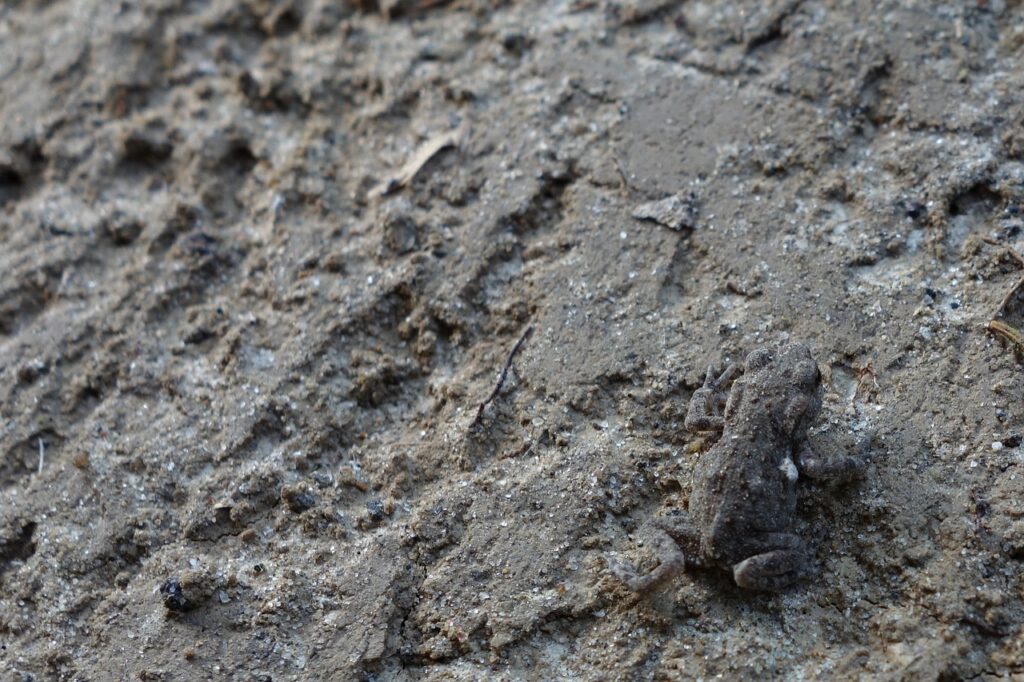 テカリに見えないツヤの作り方は？